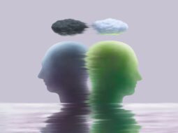 Emotional Intelligence