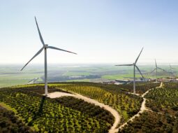 Sustainable development